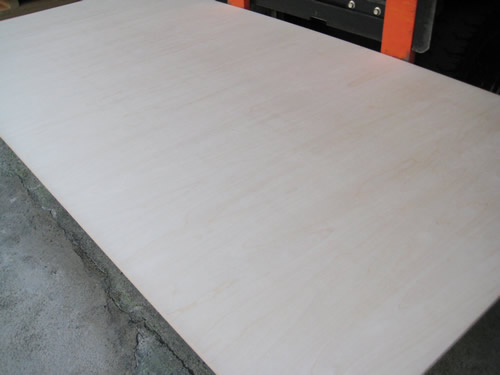 ホワイトバーチ合板 : エコモク 木材販売専門店